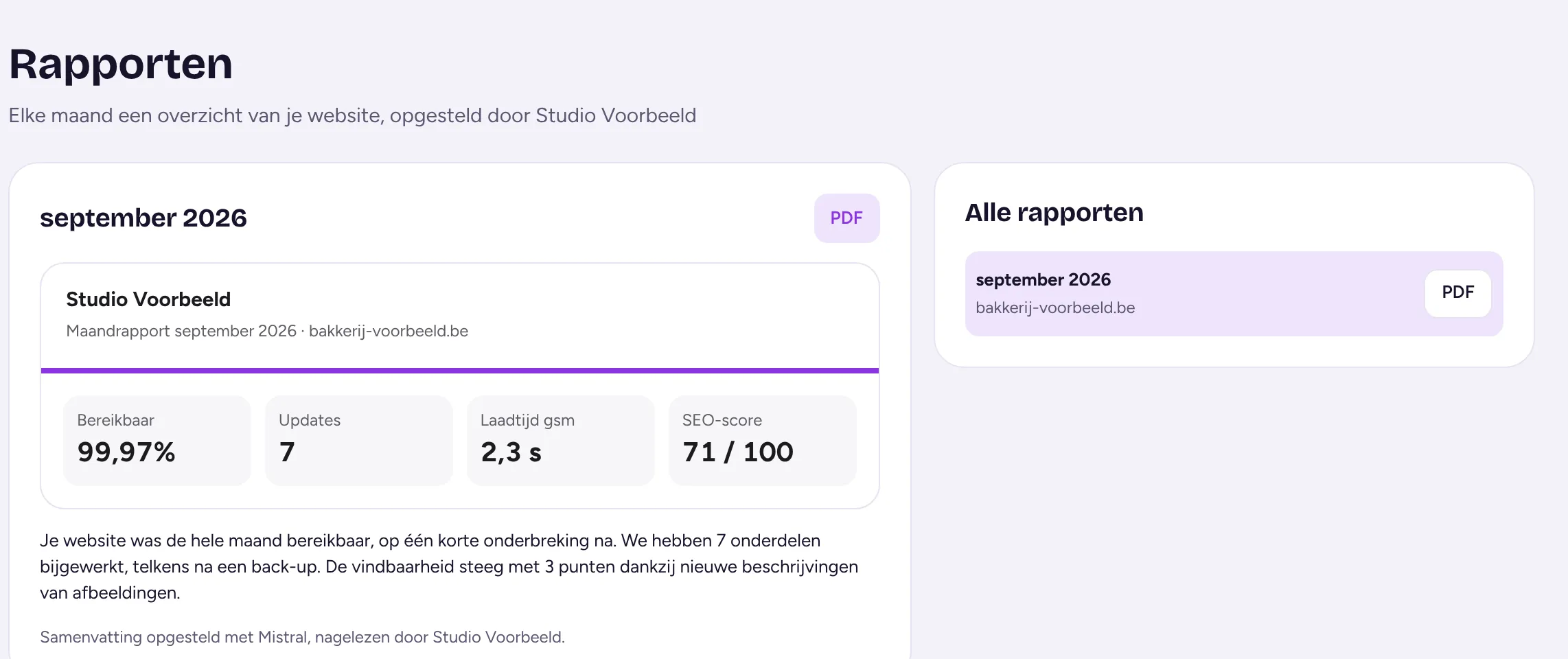 Maandrapport in het klantportaal met bereikbaarheid, updates, laadtijd en SEO-score, opgesteld door de agency